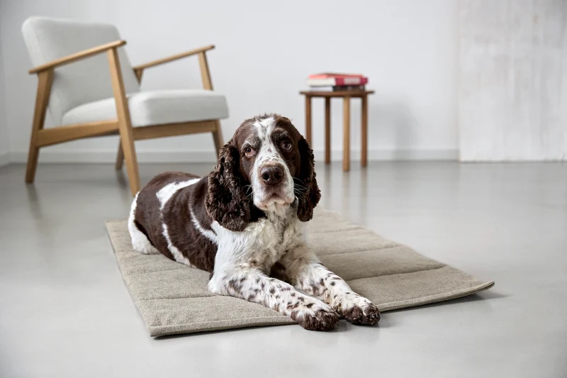 Hundematte Alma Greige