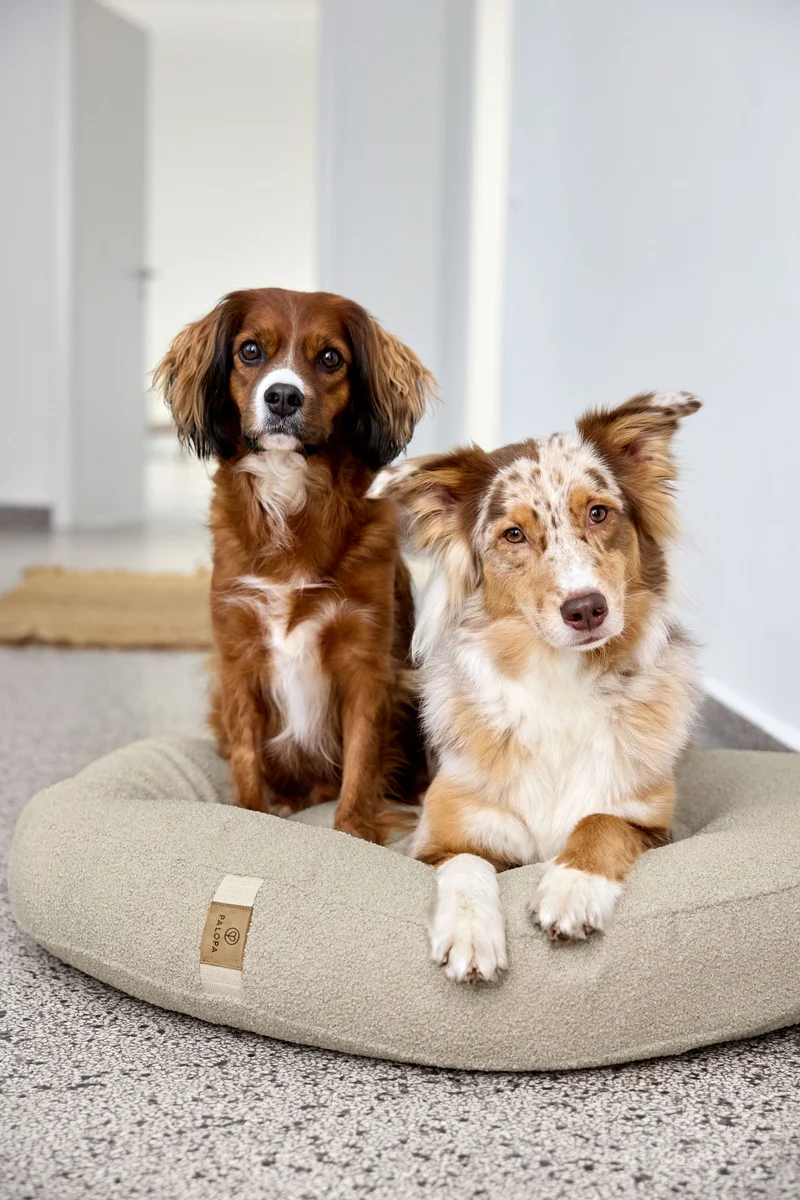 Hundebett Donut Fippa Hafer
