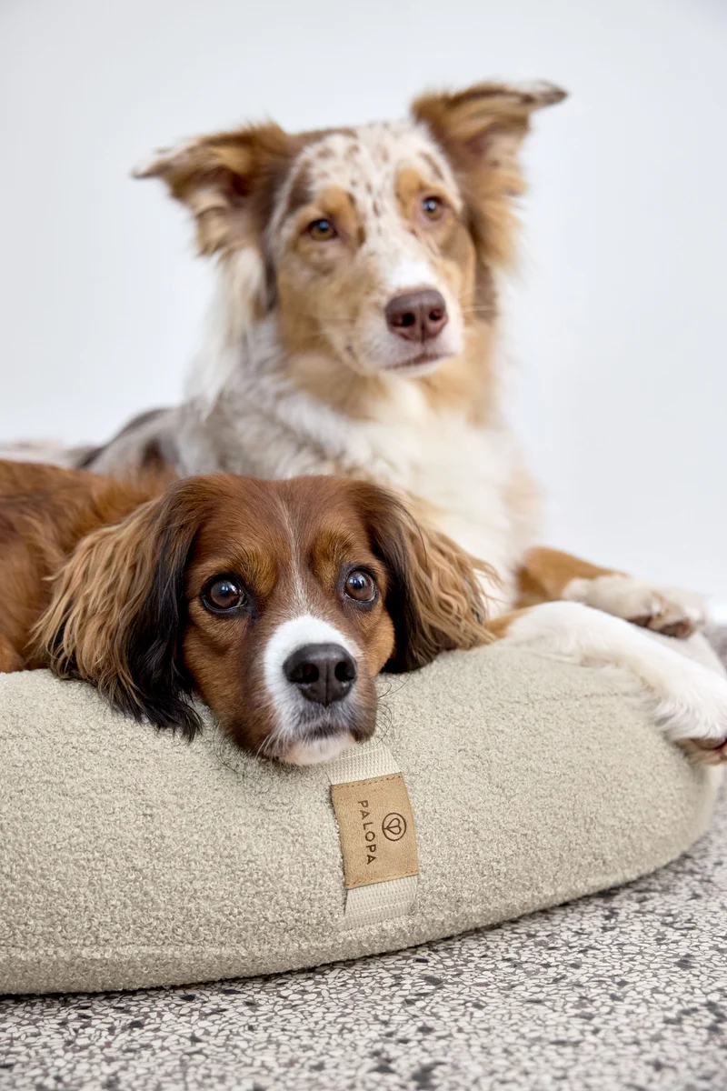 Hundebett Donut Fippa Hafer