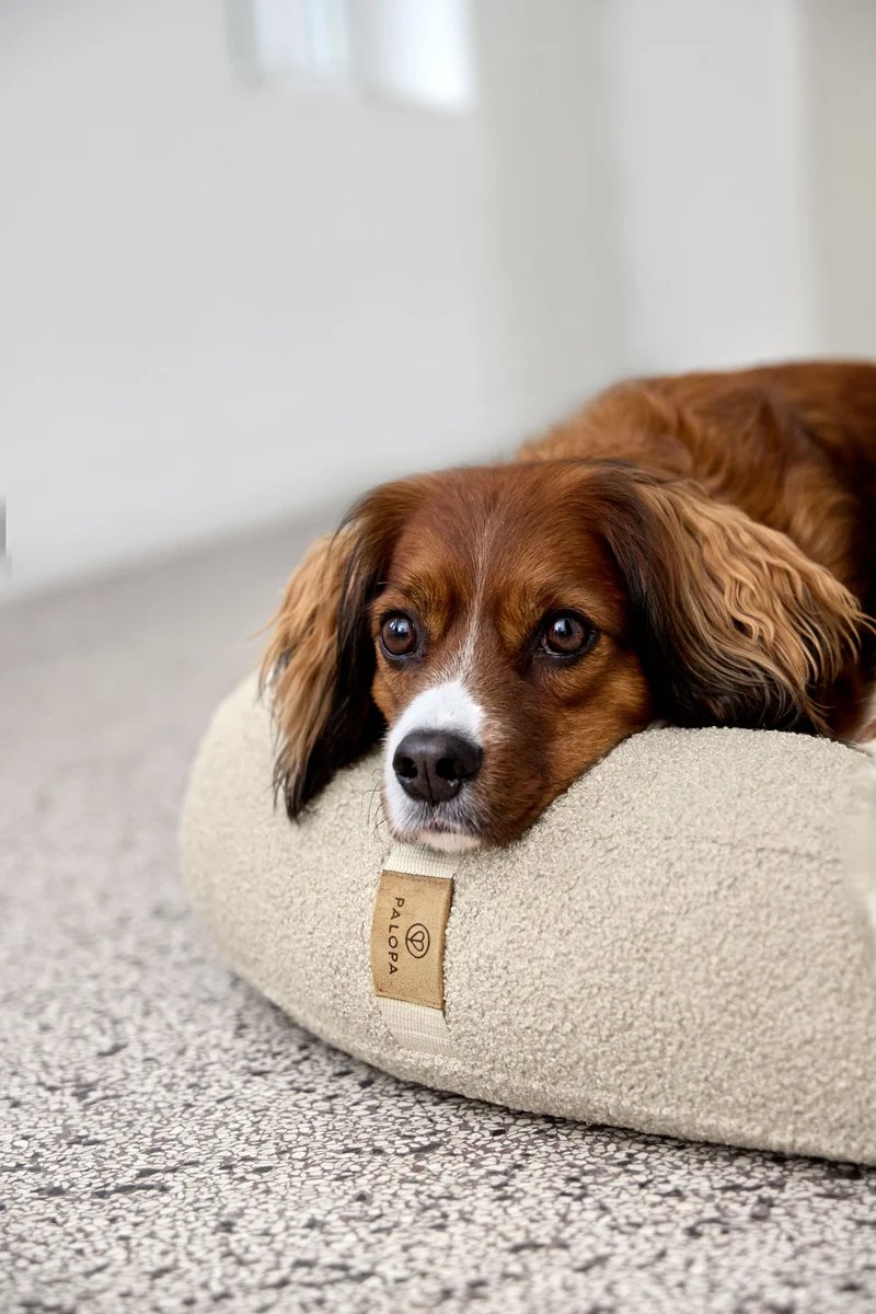 Hundebett Donut Fippa Hafer