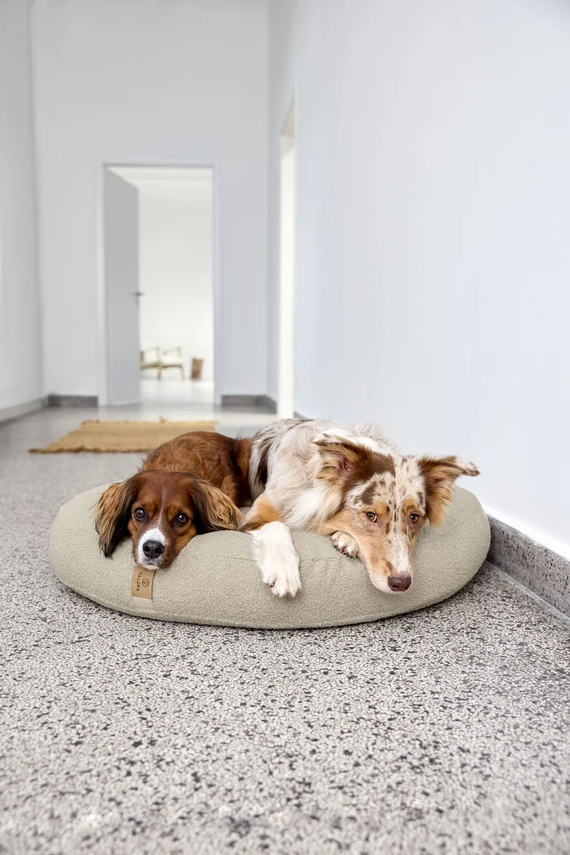 Hundebett Donut Fippa Hafer