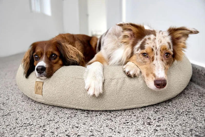 Hundebett Donut Fippa Hafer