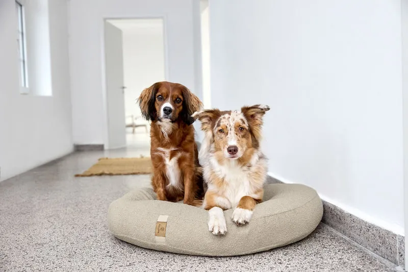 Hundebett Donut Fippa Hafer
