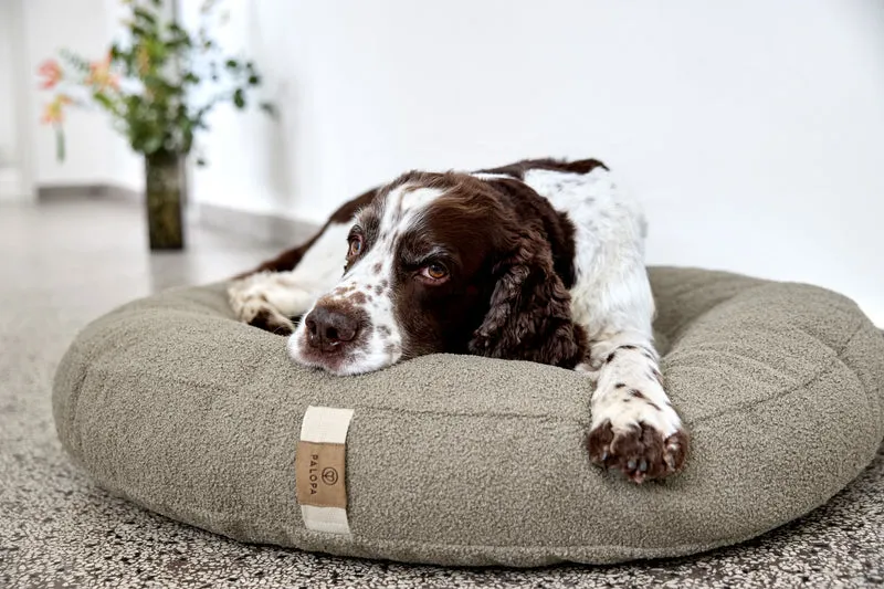 Hundebett Donut Fippa Taupe