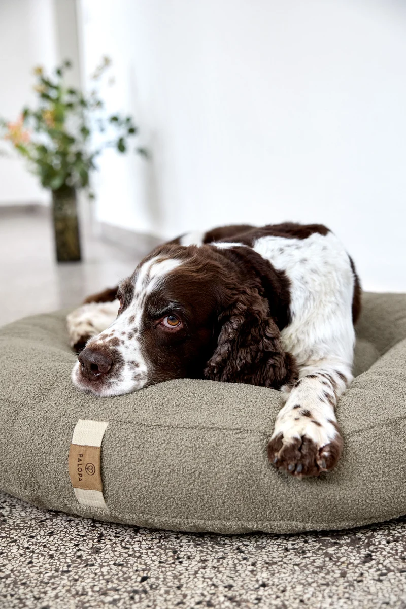 Hundebett Donut Fippa Taupe