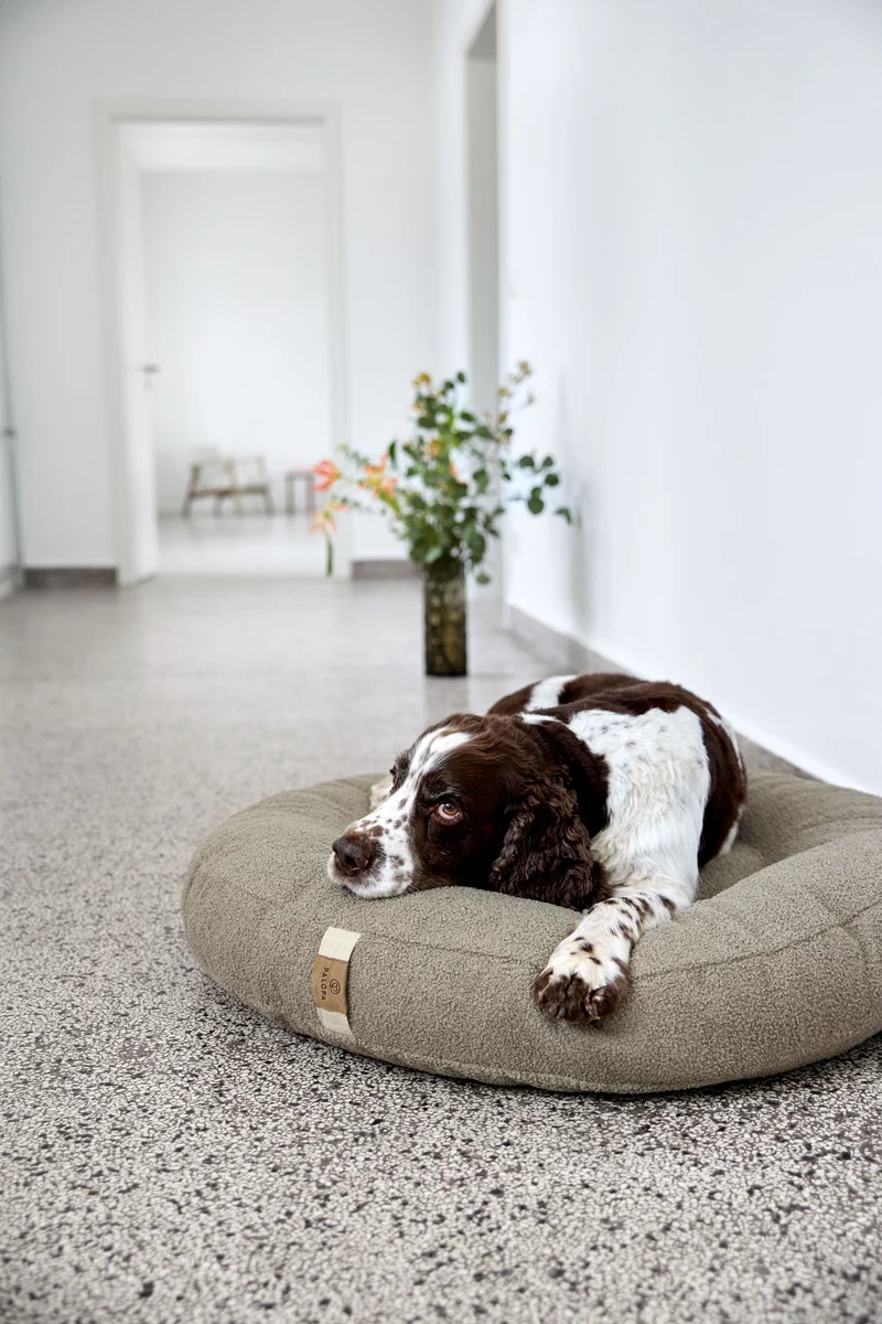 Hundebett Donut Fippa Taupe