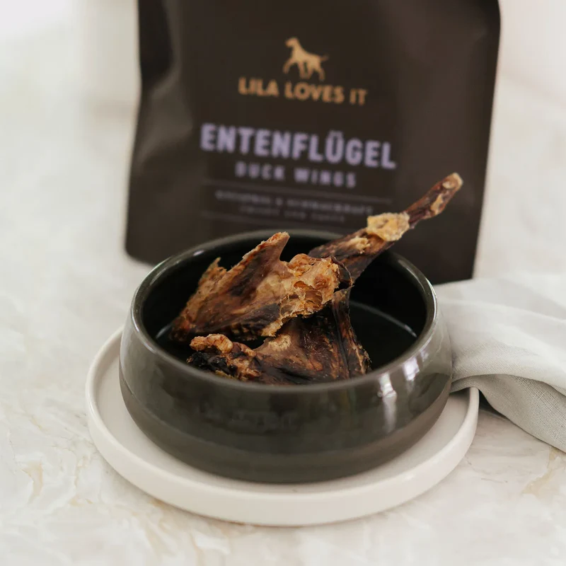 Entenflügel