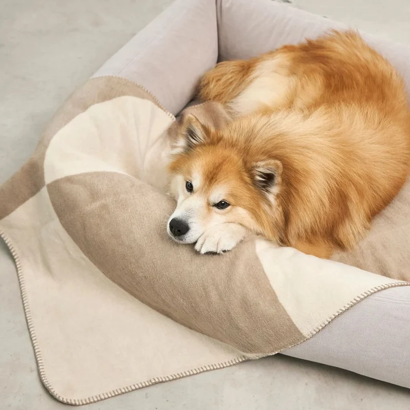 Ponte Hundedecke Nougat