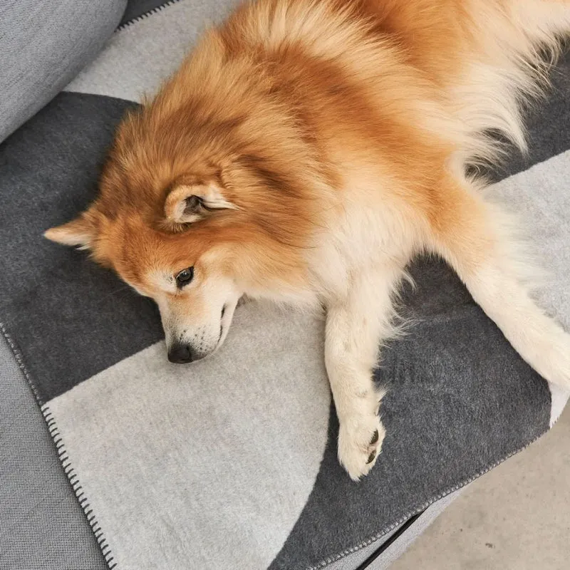 Ponte Hundedecke Schiefer