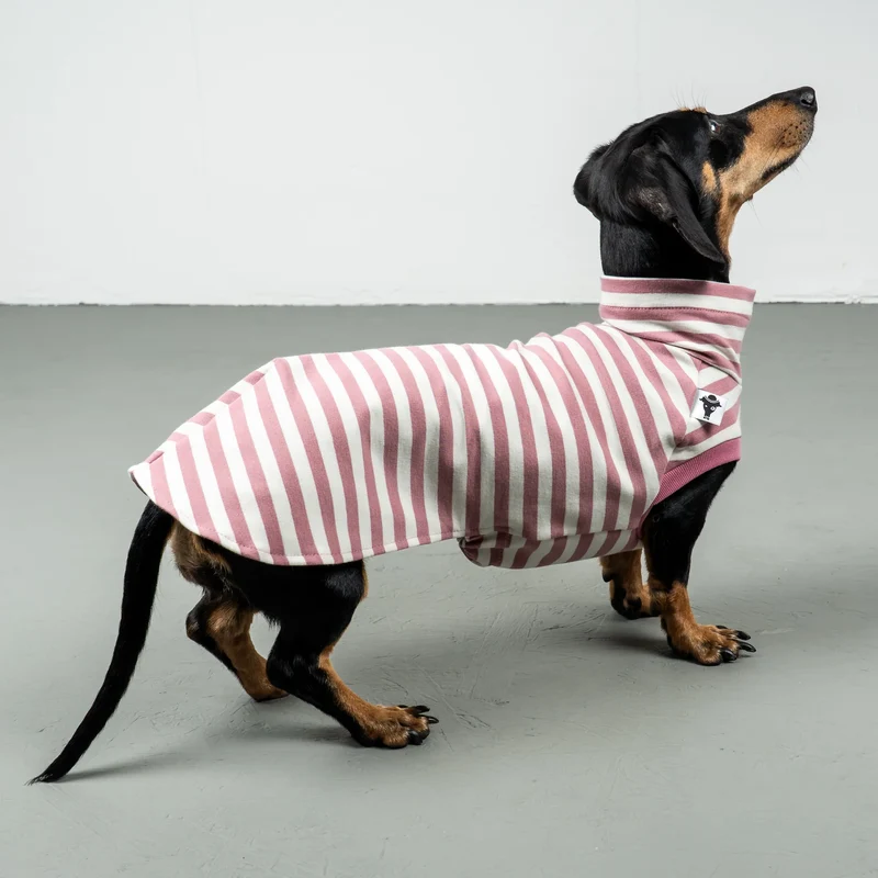 Cotton Shirt für Dackel Pink Stripes