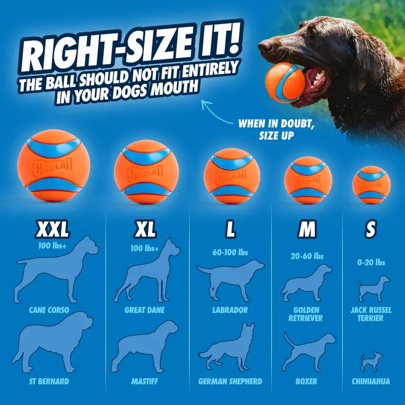 Hundespielzeug Ultra Ball