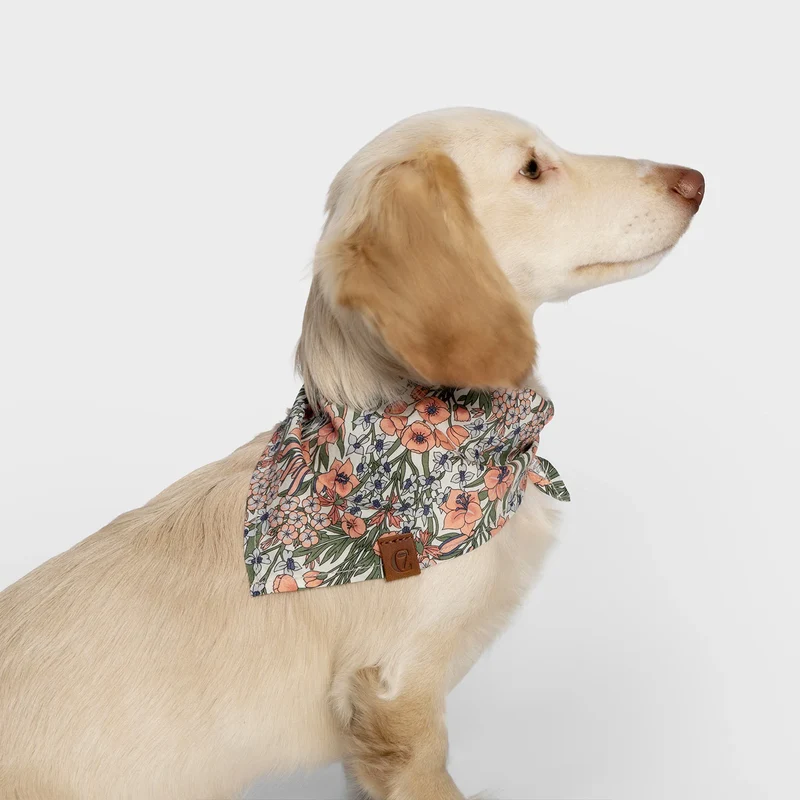 Hundehalstuch Bandana LTTL Blossoms