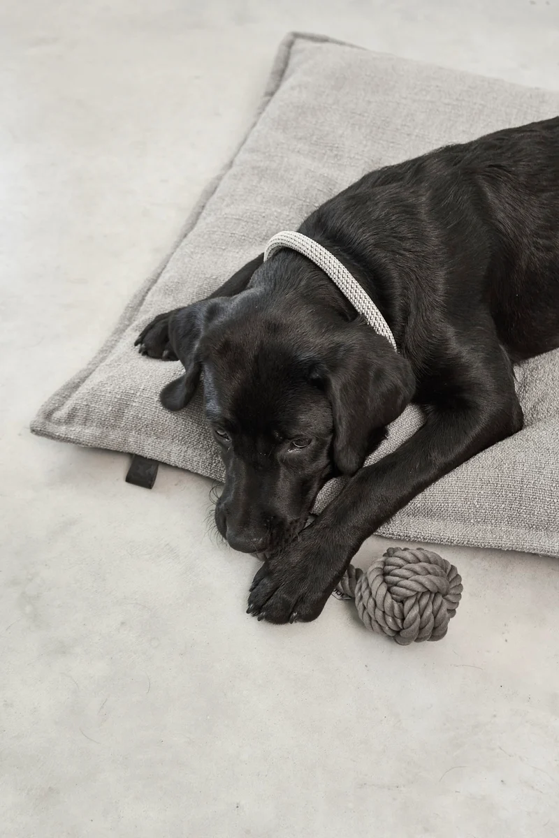 Campo Hundekissen Slim Kiesel