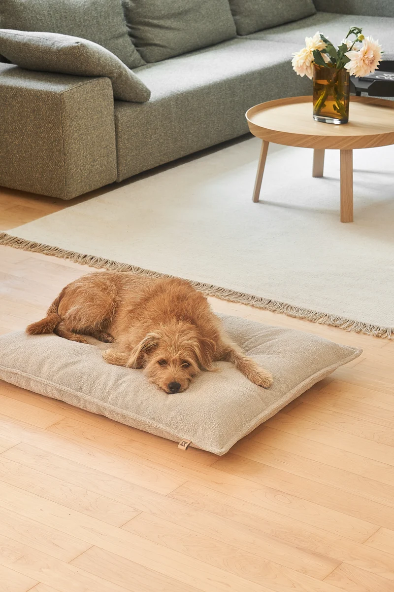 Campo Hundekissen Slim Greige