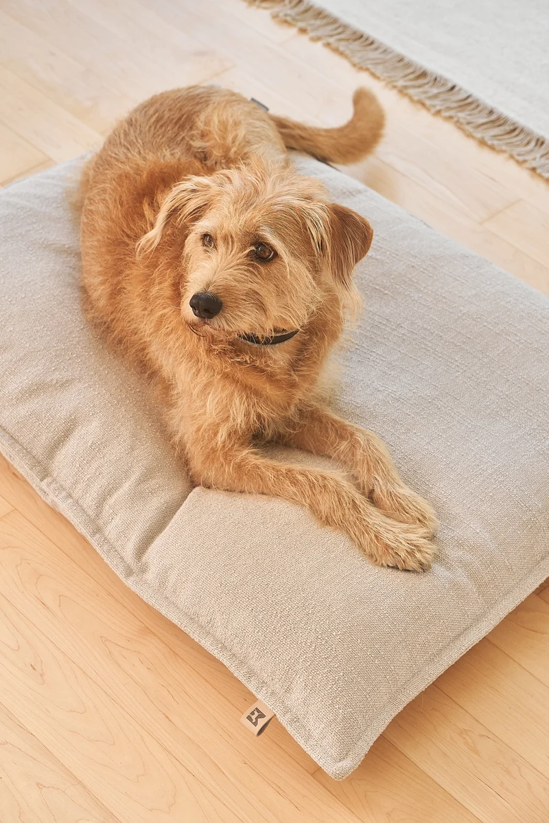 Campo Hundekissen Slim Greige