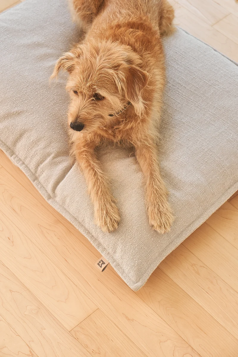 Campo Hundekissen Slim Greige