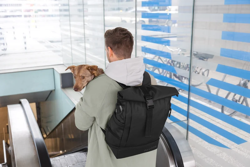 Rucksack Rolltop Yoska Schwarz