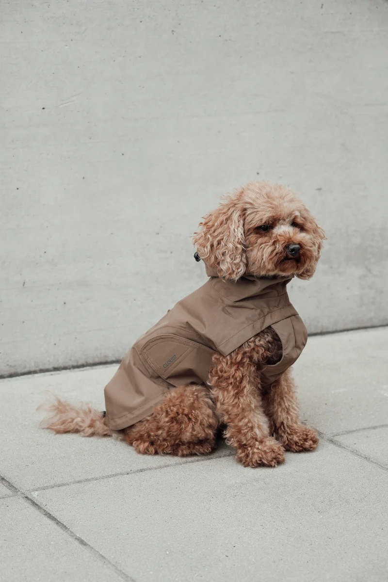 Hunderegenmantel Dublin 2.0 Sandy Brown