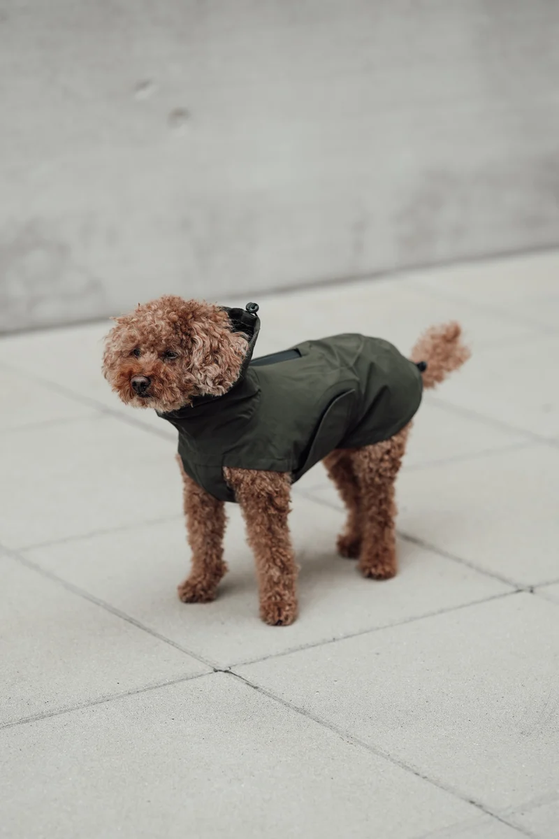 Hunderegenmantel Dublin 2.0 Dark Olive