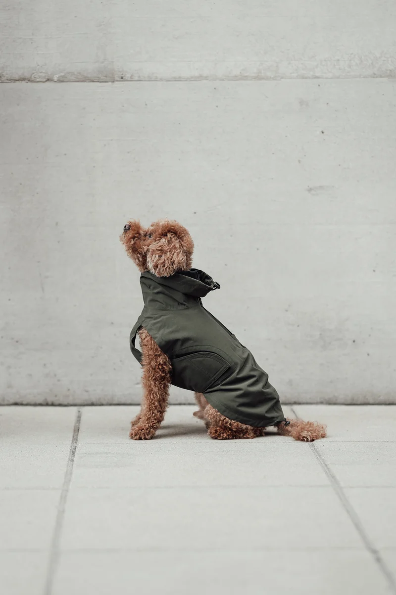 Hunderegenmantel Dublin 2.0 Dark Olive