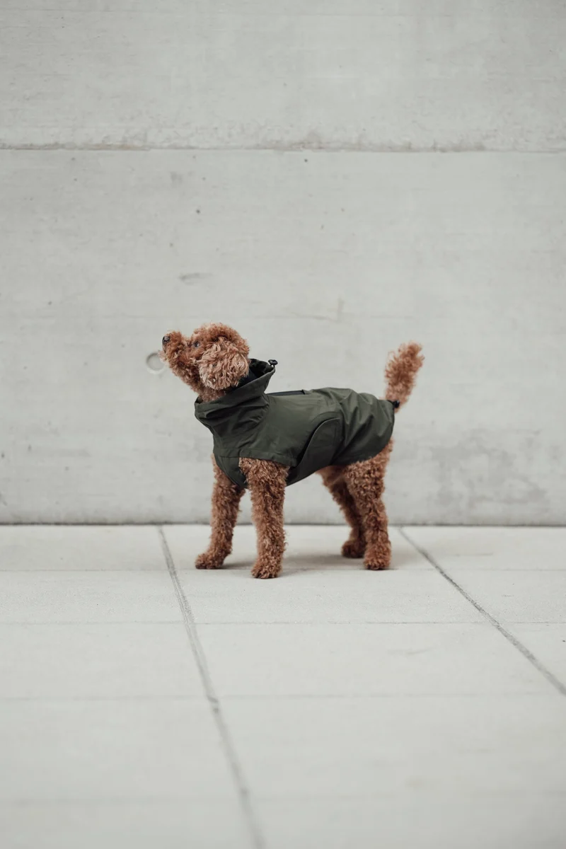 Hunderegenmantel Dublin 2.0 Dark Olive