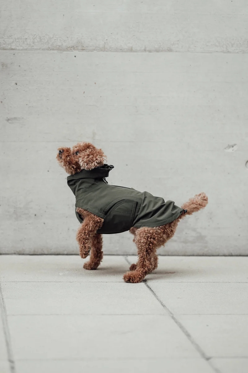 Hunderegenmantel Dublin 2.0 Dark Olive