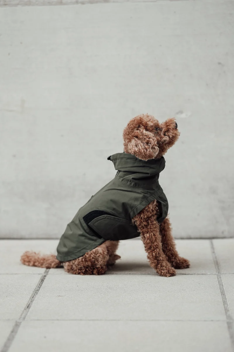 Hunderegenmantel Dublin 2.0 Dark Olive