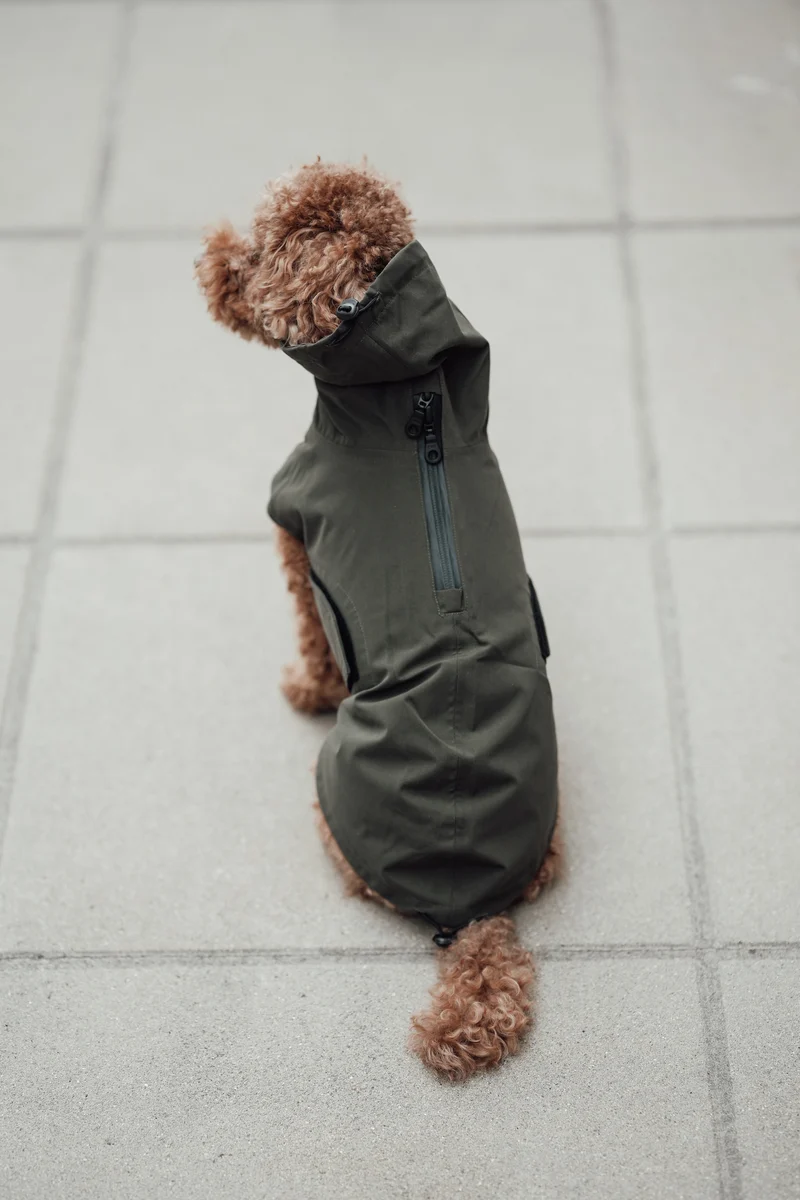 Hunderegenmantel Dublin 2.0 Dark Olive