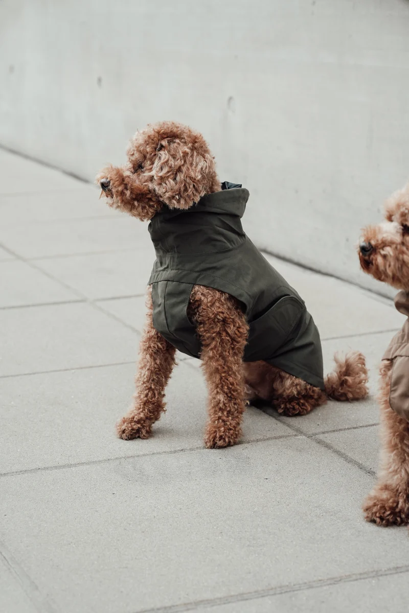 Hunderegenmantel Dublin 2.0 Dark Olive