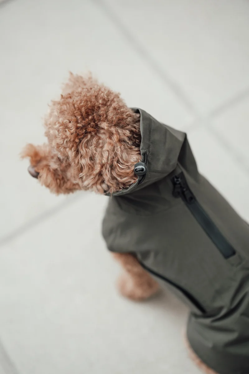 Hunderegenmantel Dublin 2.0 Dark Olive