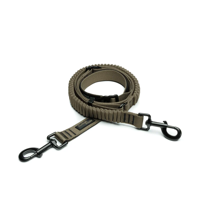 L-2 Jogging-Leine AKTIV Olive