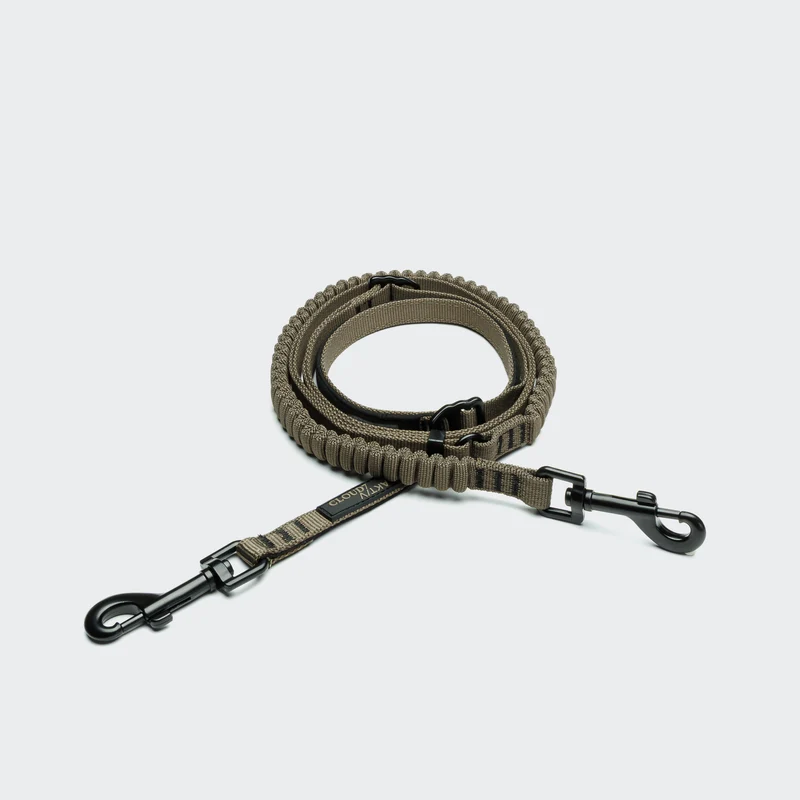 L-2 Jogging-Leine AKTIV Olive