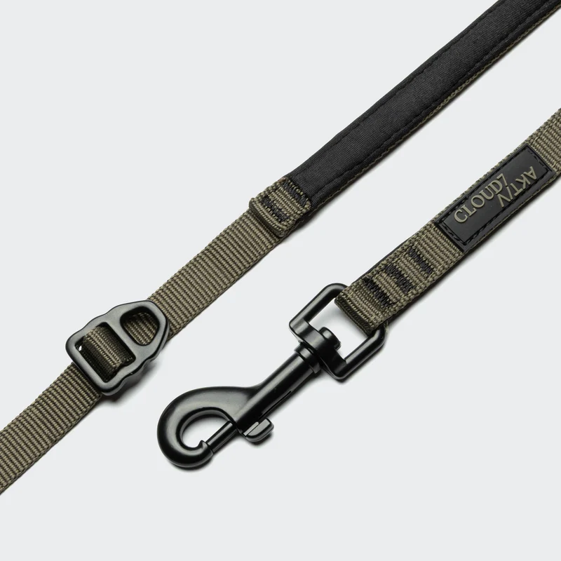 L-2 Jogging-Leine AKTIV Olive