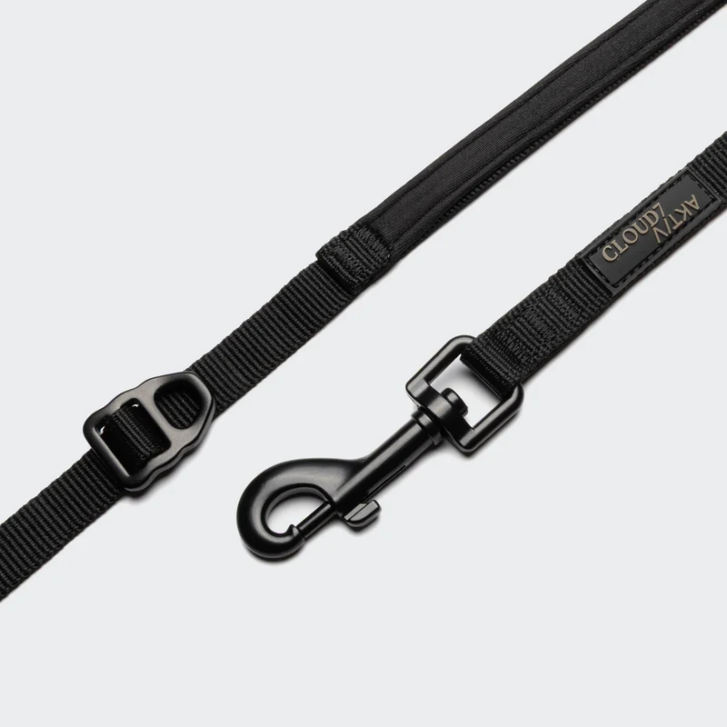 L-2 Jogging-Leine AKTIV Black