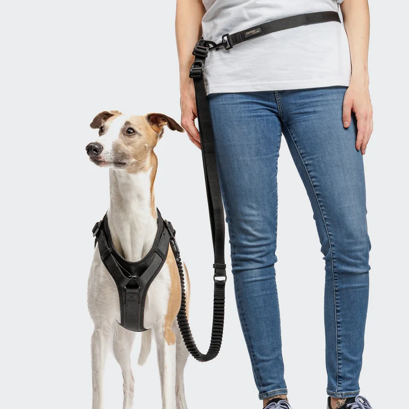 L-2 Jogging-Leine AKTIV Black