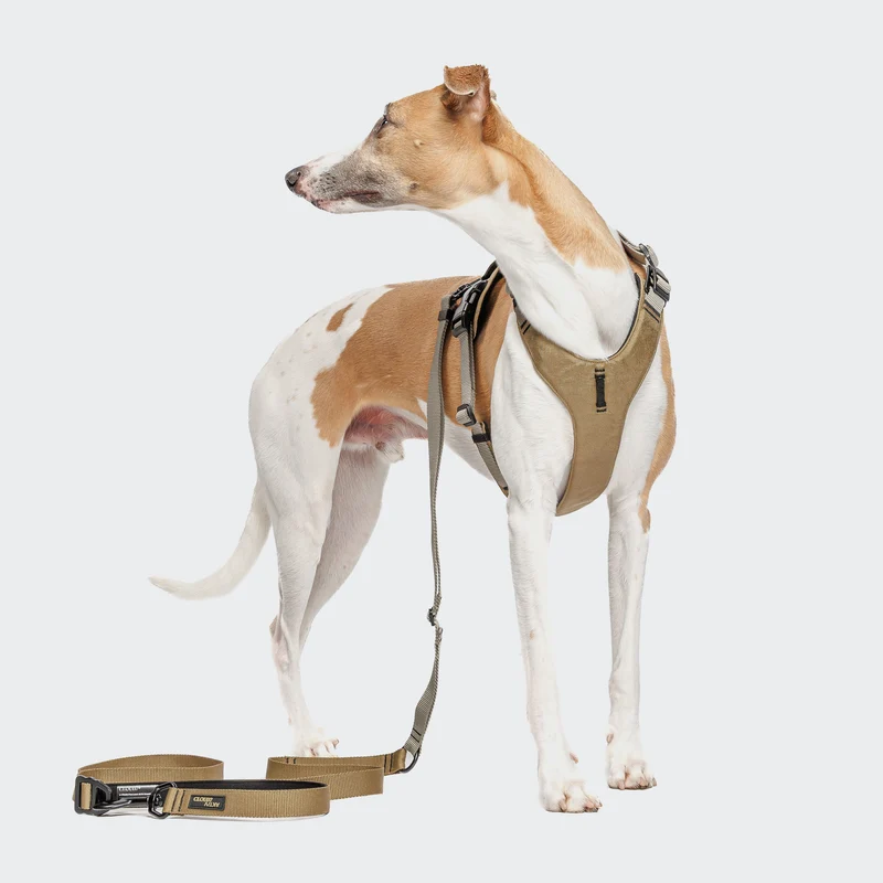 L-1 Freihandleine AKTIV Khaki / Grey