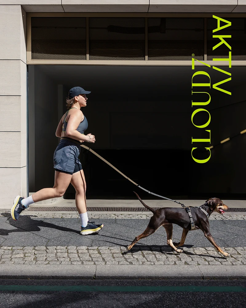 L-1 Freihandleine AKTIV Khaki / Grey