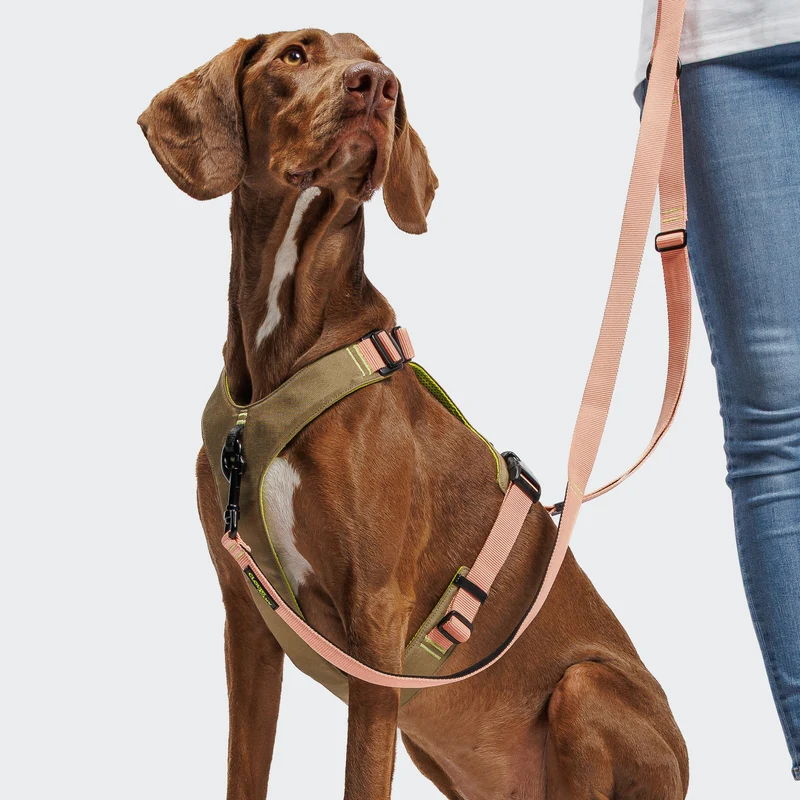 Y-2 Geschirr AKTIV Cordura Peach