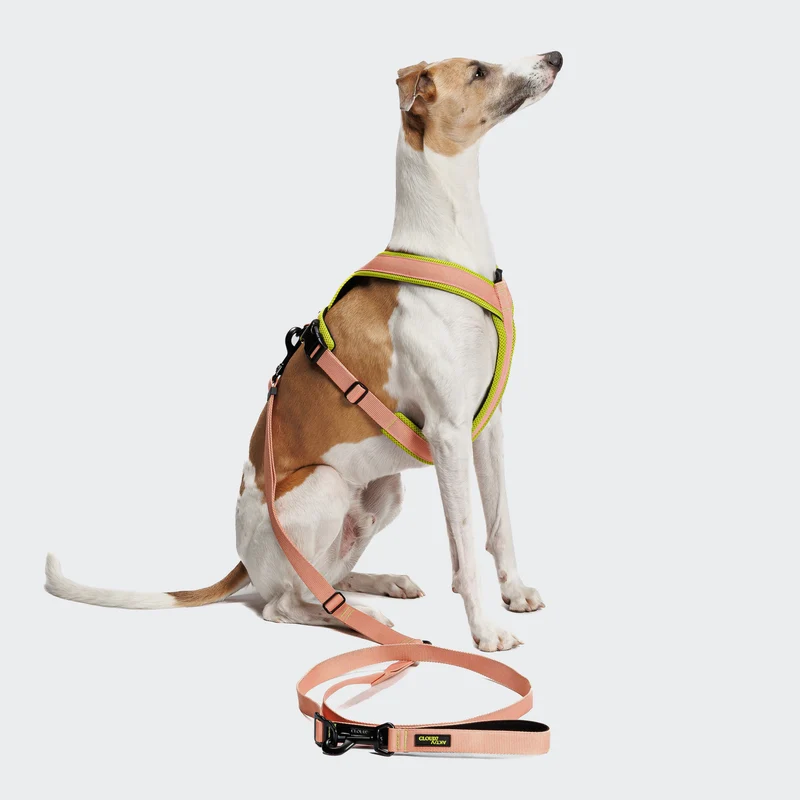 Y-1 Geschirr AKTIV Air-Mesh Peach