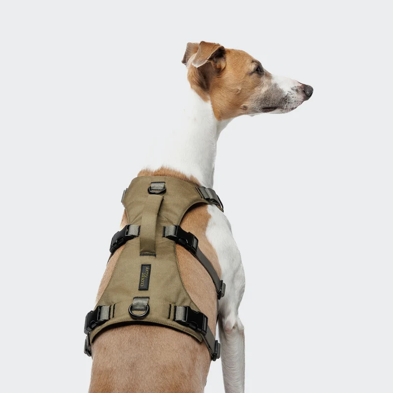 Y Sicherheitsgeschirr AKTIV Khaki / Grey