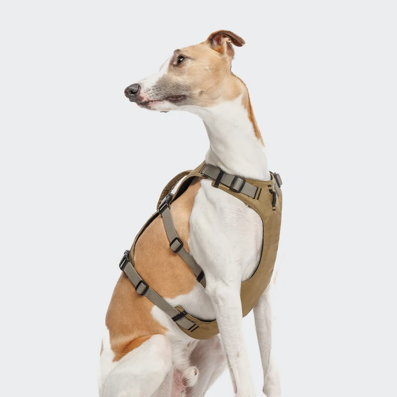 Y Sicherheitsgeschirr AKTIV Khaki / Grey