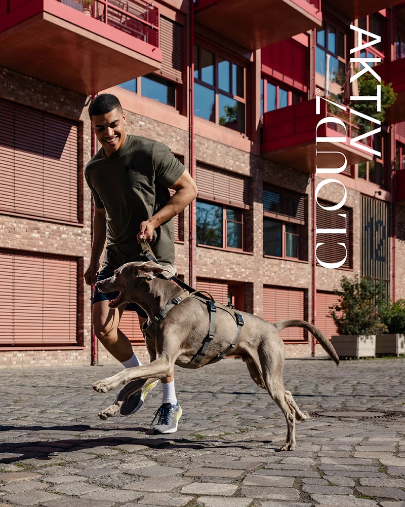 Y Sicherheitsgeschirr AKTIV Khaki / Grey