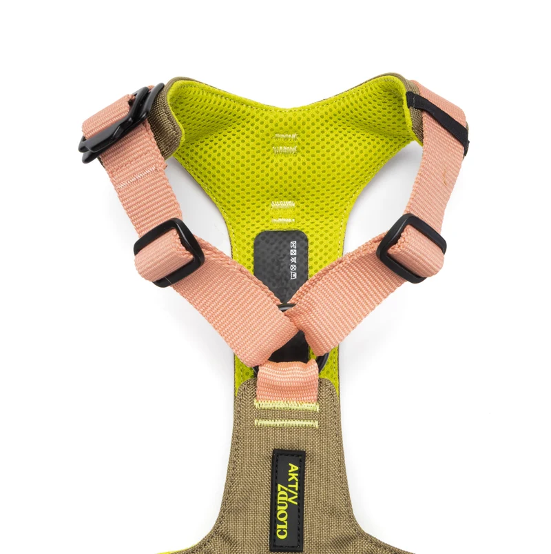 Y-2 Geschirr AKTIV Cordura Peach