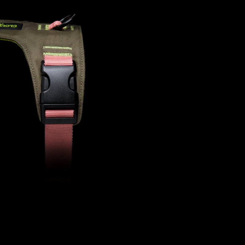 Y-2 Geschirr AKTIV Cordura Peach