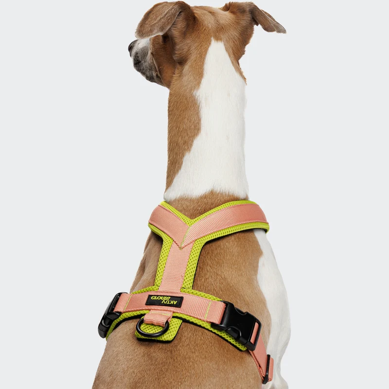 Y-1 Geschirr AKTIV Air-Mesh Peach