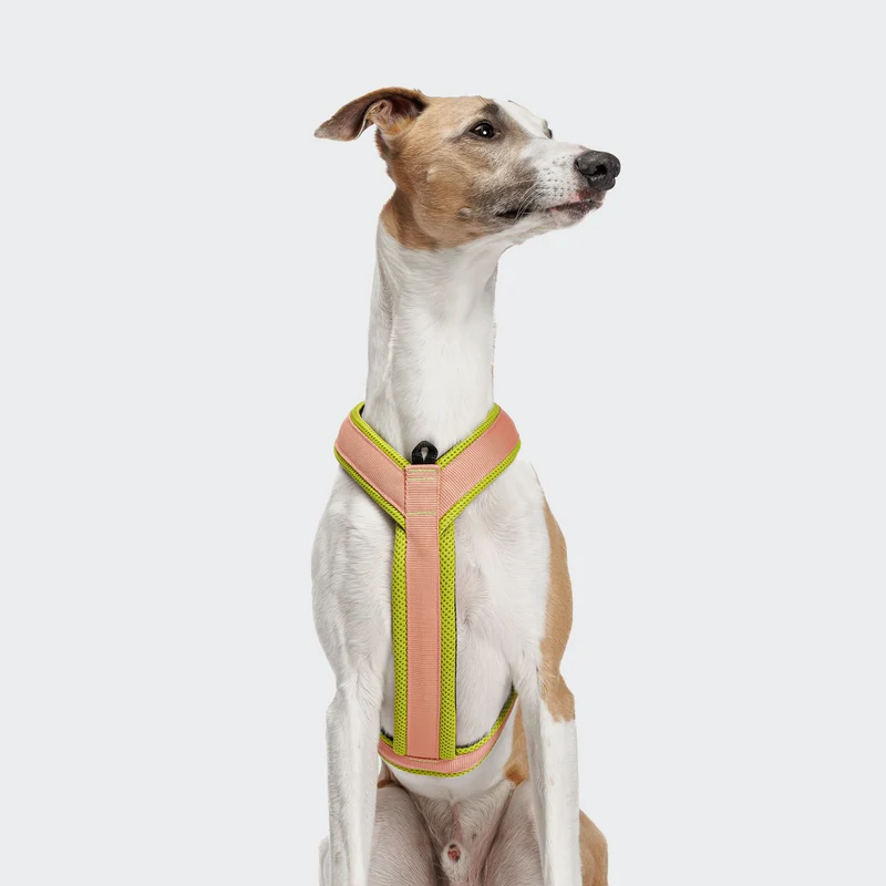 Y-1 Geschirr AKTIV Air-Mesh Peach