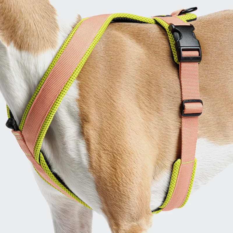 Y-1 Geschirr AKTIV Air-Mesh Peach