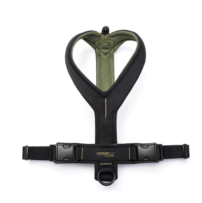 Y-1 Geschirr AKTIV Air-Mesh Black