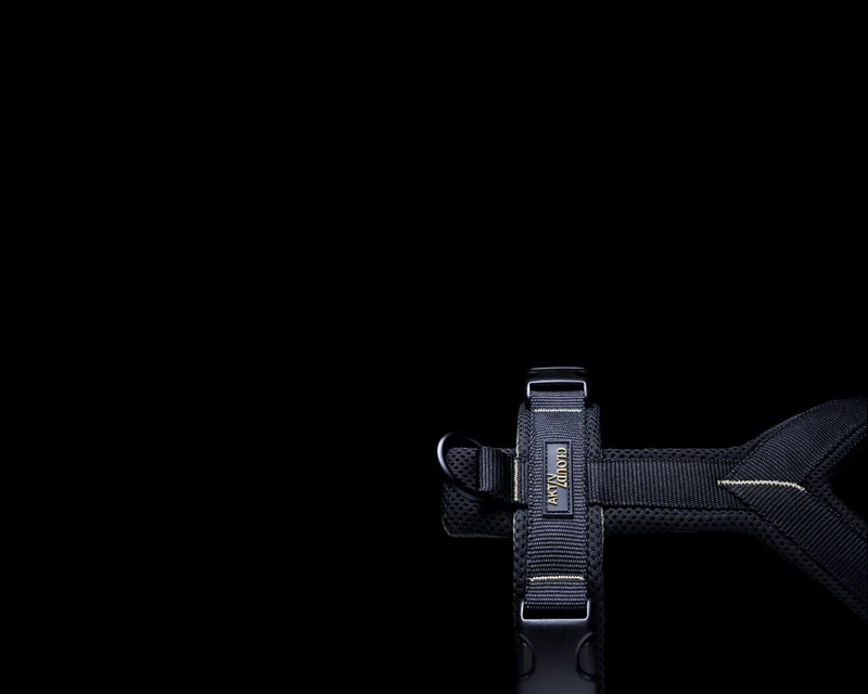 Y-1 Geschirr AKTIV Air-Mesh Black