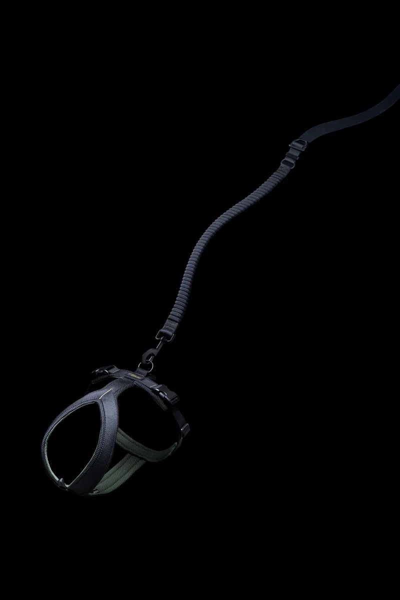 Y-1 Geschirr AKTIV Air-Mesh Black